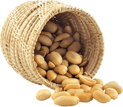 26 Years of Experience