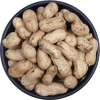 Groundnut In-Shell